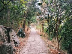 -抚仙湖禄充风景区