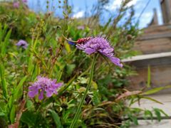 -白草畔自然风景区