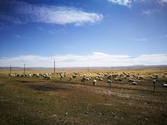 -青海湖国家重点风景名胜区