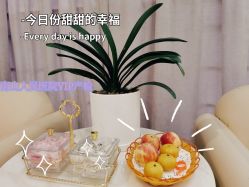 -天使医生VIP孕期孕检产检(市二医院店)
