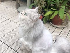 -小时光咖啡馆(北锣鼓巷店)