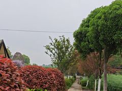 -洪湖家庭农场·团建·露营·会议