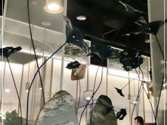 大堂-新辣道鱼火锅(航天万源店)