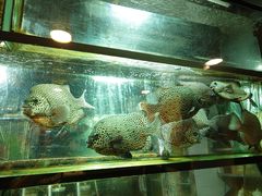 -叙亨轩海鲜火锅