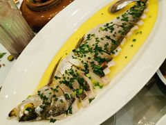 -沪碟·精菜坊(闵行店)