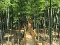 -陶祖圣境风景区
