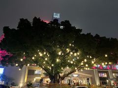 -七色云蔬食(喜邻里店)