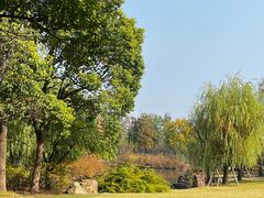 -上海滨江森林公园