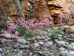 -湖洞水自然风景区