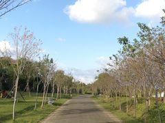 -上海海湾国家森林公园