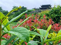 -青岩古镇