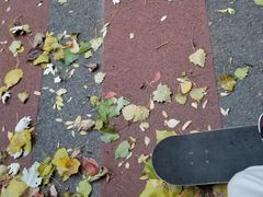 -朝阳公园游乐园