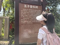 -石燕湖生态旅游景区