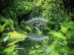 -北坞公园