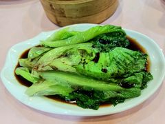 白灼生菜-顺德小厨·招牌无骨鱼(广百百货店)