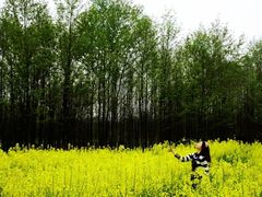 -桤木河湿地公园