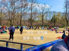 -紫霞湖公园