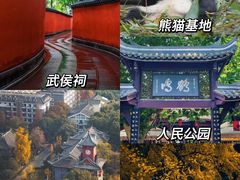 -成都大熊猫繁育研究基地