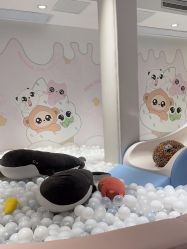 -MINI MARS KIDS CLUB亲子家庭中心(长宁天山店)