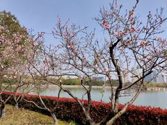 -石湖景区
