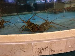 水产区-浒顺大酒店(相城店)