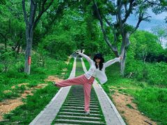 -青龙山国家森林公园
