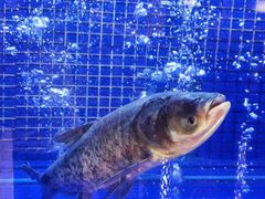 -潇湘码头·鲜湘菜(清河店)