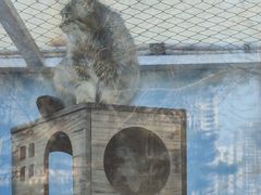 -青藏高原野生动物园