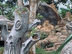 -海南热带野生动植物园