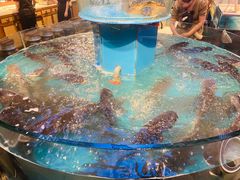 -魏铭鱼头捞饭(晋阳路店)