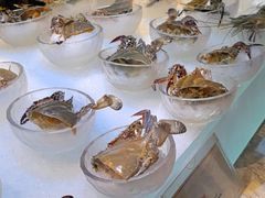 -半岛翡丽海鲜自助餐厅(观风亭店)