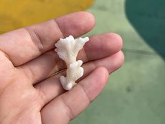 -三亚西岛海洋文化旅游区