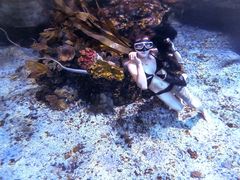 -太平洋海底世界