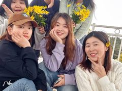 -铁山坪森林公园