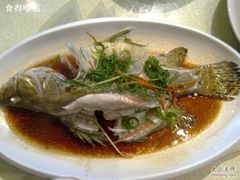 清蒸桂鱼-百姓百味海鲜酒楼(粤垦路总店)