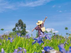 -白鹭湾湿地公园