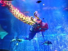 -沈阳海洋探索中心