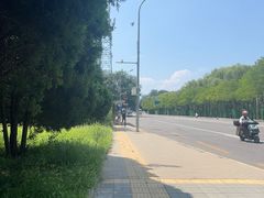 -近春园遗址