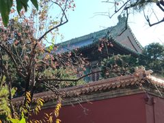 -河沿肉饼Beijing Pie(东华门店)