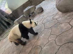 -宁波野生动物园