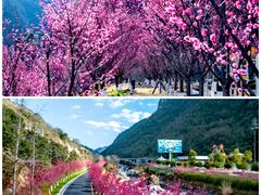 -高岚大峡谷旅游度假区