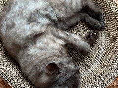 -宠颐生·恒爱宠物医院(静海店)