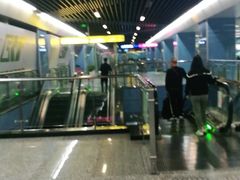 -大龙山(地铁站)