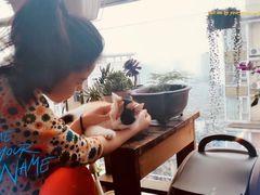 -六出私塾LiuChu•成人美术书法系统课程专业画室(熊婆婆的花园店)