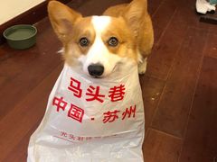 -马头巷·隐庐居·红油大虾(园区店)