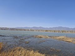 -野鸭湖国家湿地公园