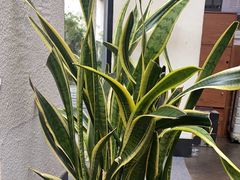 -无名小酒馆·湖北私房菜(昙华林店)