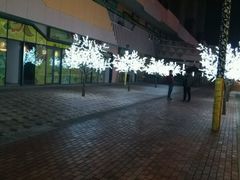 -万达广场(东营西城店)