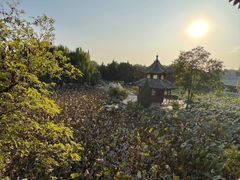 -莲池书院博物馆