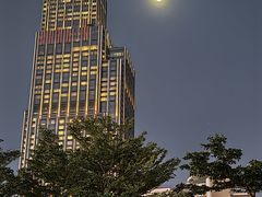 -星光大道